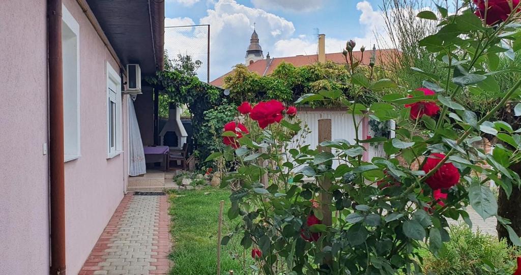 Apartman Ksenija Джяково Экстерьер фото